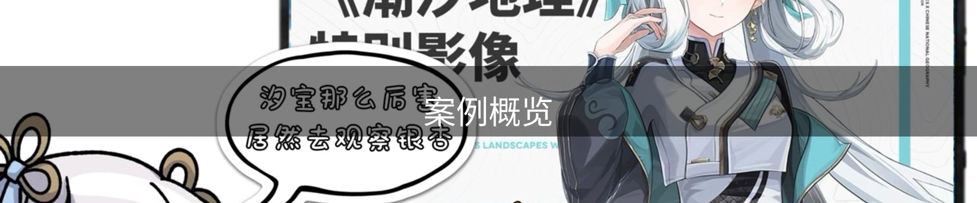 案例概览
